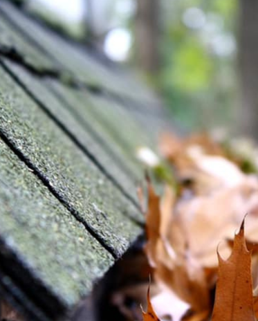 Gutter cleaning and maintenance