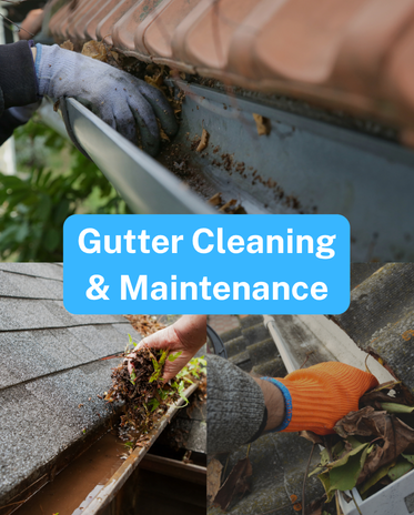 Gutter Cleaning